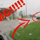 Image for article titled Mustang Driver Crashes After Request To Record Him Drift Out Of Lamborghini Dealership